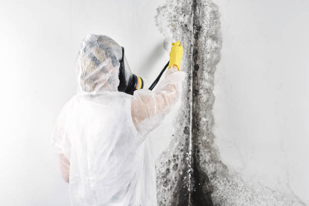 Best Residential water damage restoration  in USA